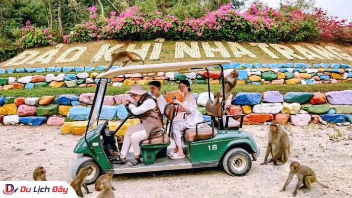 Du khách ngồi xe điện giao lưu với đàn khỉ tự nhiên tại Đảo Khỉ Nha Trang