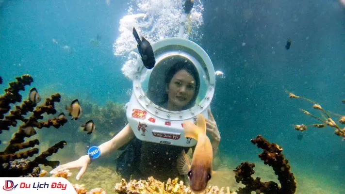 Du khách trải nghiệm đi bộ dưới đáy biển ngắm cá và san hô tại Vịnh San Hô Nha Trang