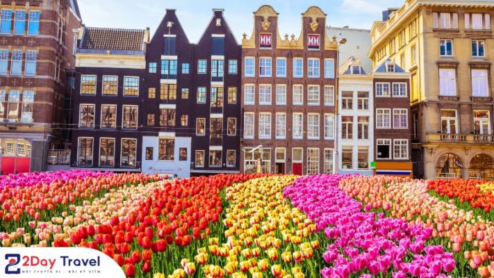 Keukenhof được mệnh danh là vườn hoa lớn nhất châu Âu