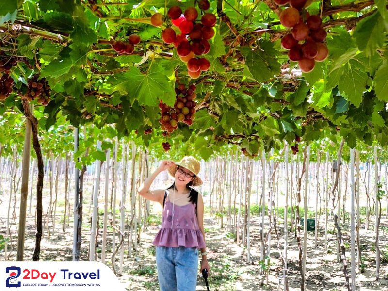 đặt tour du lịch Nha Trang