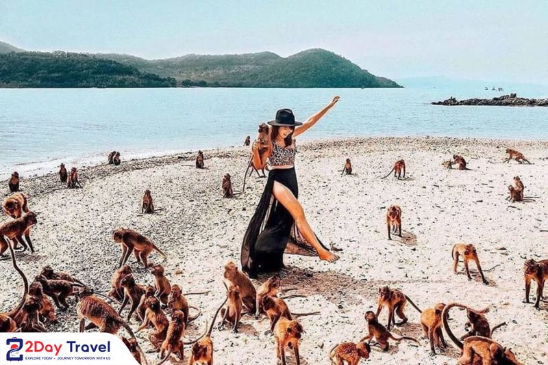 Tour trong ngày Nha Trang