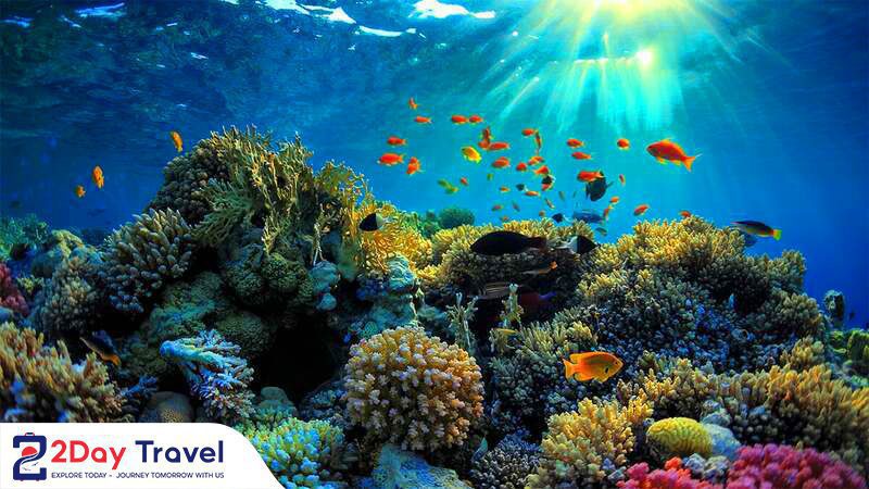 Tour trong ngày Nha Trang