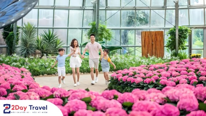 Đồi Vạn Hoa – Blooming Hill