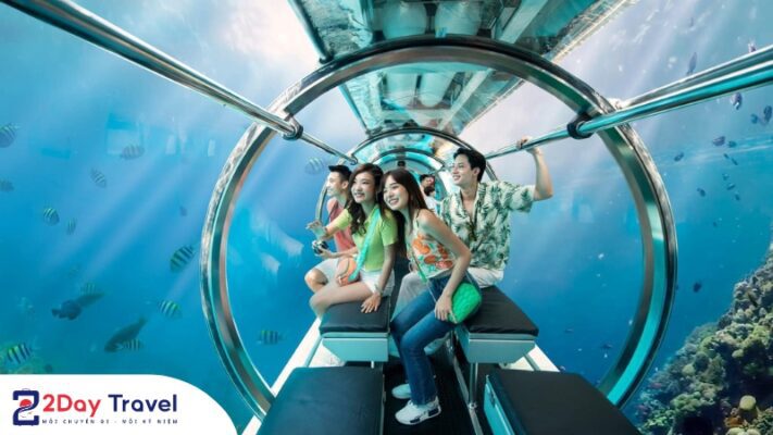 Khám phá thế giới thủy cung rực rõ tại Cung Điện Hải Vương – Vinwonder