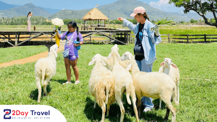 Tour Đồng Cừu - Khám phá Ninh Thuận 