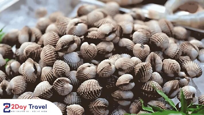 Ốc biển Nha Trang