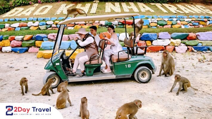 Đảo khỉ có một không hai tại Vịnh Nha Trang