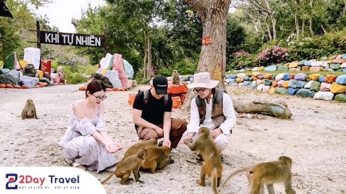 Đảo khỉ & Suối hoa lan thuộc Vinh Nha Phu – Nha Trang