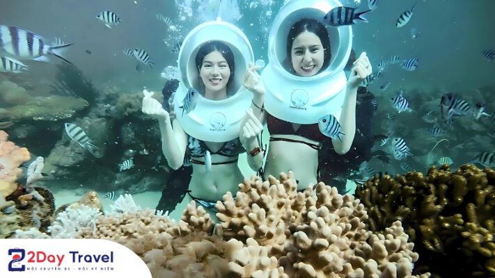 Lặn biển ngắm san hô cùng Vinpearl Diving Club Nha Trang