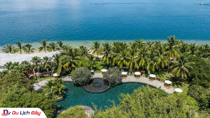 Hồ bơi vô cực ẩn dưới rặng dừa xanh sát bãi biển resort Nha Trang