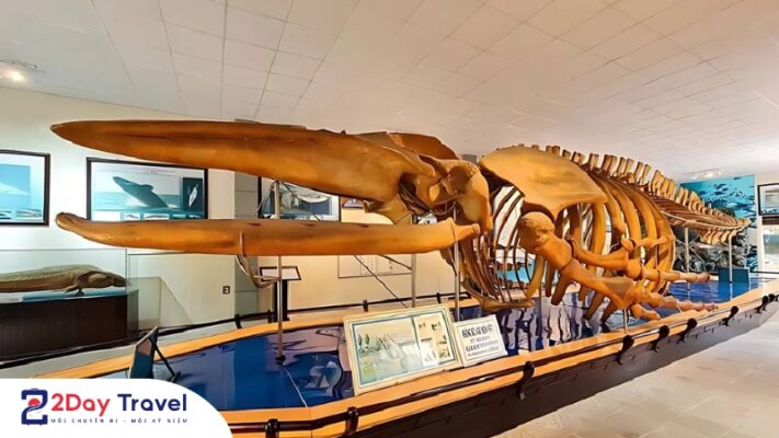 Viện Hải Dương Học - đại dương thu nhỏ