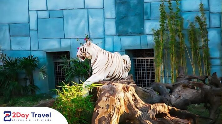 Vườn Quý Dương – King’s Garden