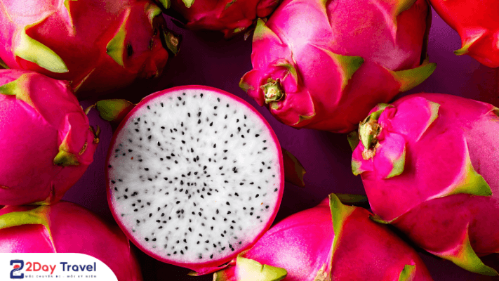 Festival Thanh Long _ Bình Thuận