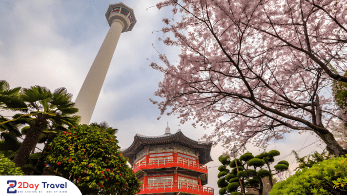 Busan - Địa điểm nối tiếng của Hàn Quốc