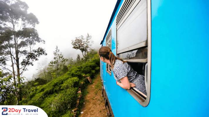 Chiêm ngưỡng vẻ đẹp