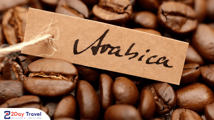 Cafe Arabica nổi tiếng Đà Lạt