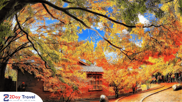 Trải nghiệm mùa thu đặc biệt ở Đài Loan