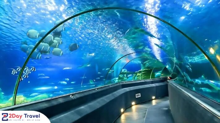 Du lịch sinh thái Biển tại Nha Trang
