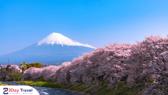 Những nét độc đáo trong văn hóa Nhật Bản