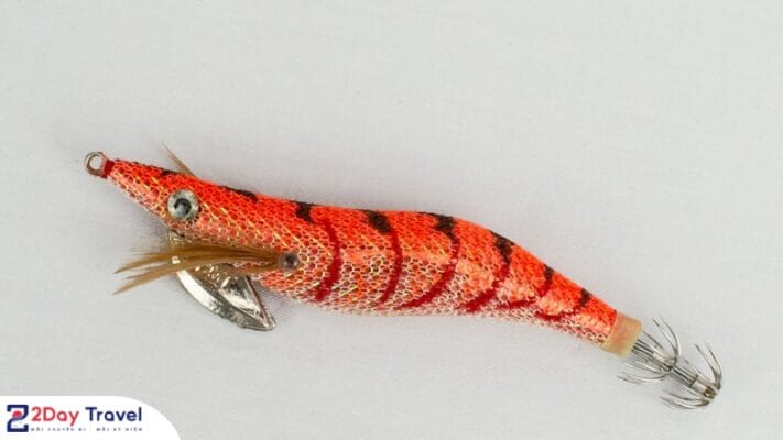 Sử dụng cần câu mực chuyên dụng