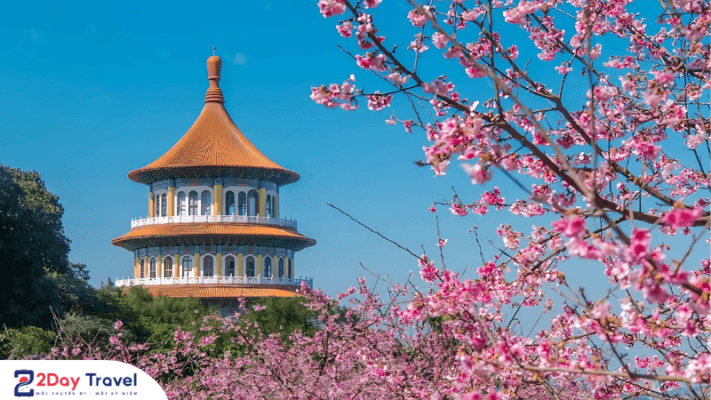 Mùa Xuân - Thời điểm tuyệt vời để du lịch Đài Loan 