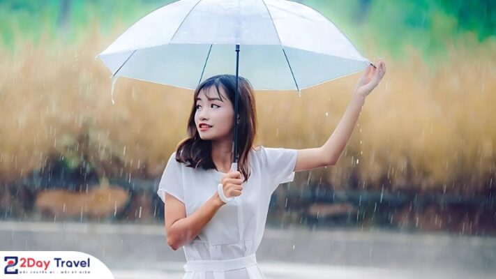 Học cách tận hưởng những cơn mưa nhiệt đới