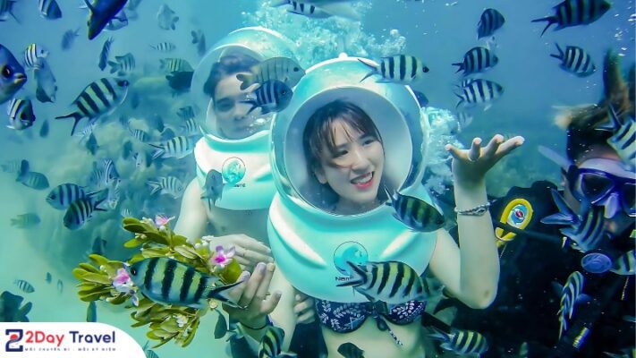 Lặn ngắm nhìn thế giới đại dương cùng nhiều sinh vật biển