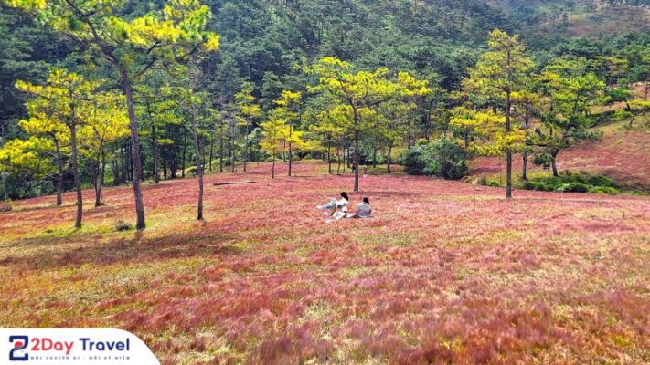 Điểm đến lý tưởng khi du lịch đến Đà Lạt