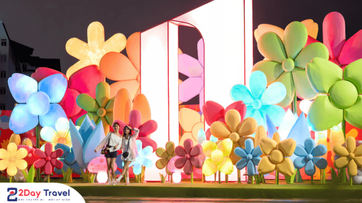 "Rừng hoa anh sáng" - địa điểm thu hút nhiều du khách đến check-in