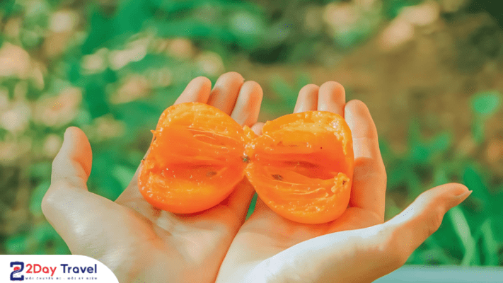 Quả hồng chín mọng