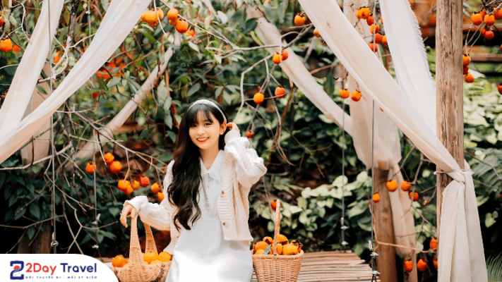 Check-in cùng khung cảnh thơ mộng tại vườn hồng