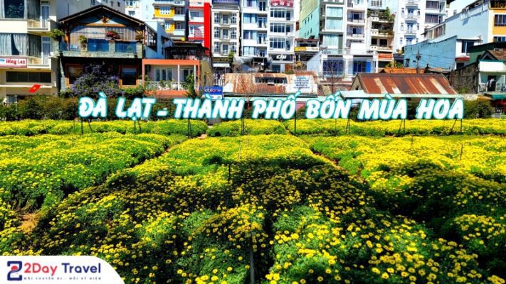 Chào đón Festival hoa Đà Lạt