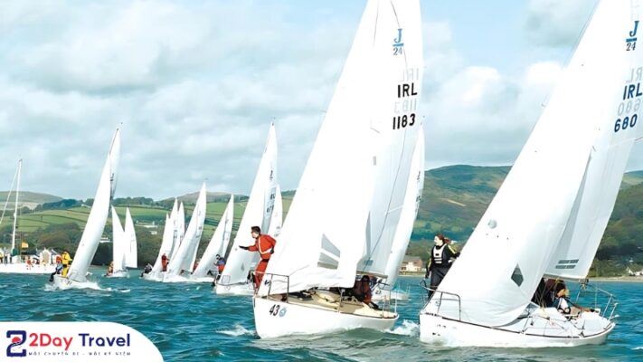 Festival du thuyền quốc tế