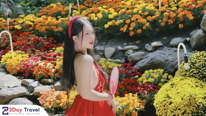 Cà phê Hoa Đồng Nội