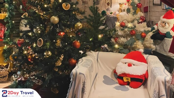 Quán cà phê Dưới tán thông già