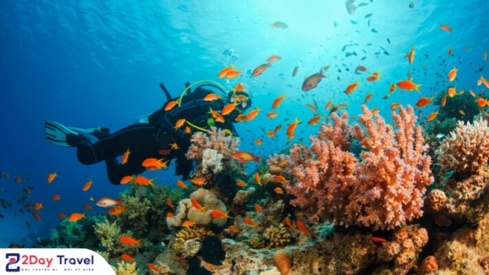 Đặt Tour Du Lịch Nha Trang Trọn Gói - Tiện Lợi Và Tiết Kiệm Hơn Bao Giờ Hết