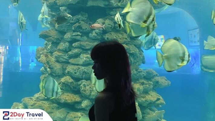 Viện Hải Dương Học Nha Trang