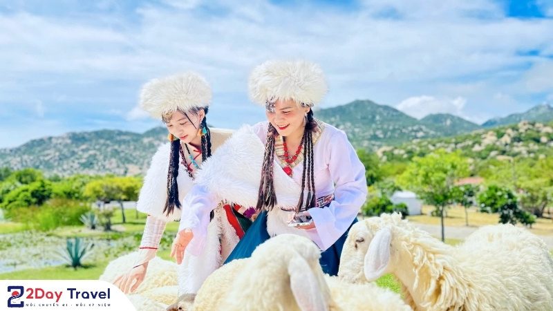 Sống ảo, yêu thích thiên nhiên nguyên sơ và hòa mình vào khung cảnh “du mục chill chill” cùng Tanyoli.