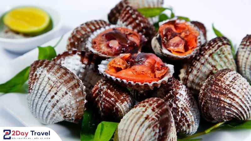 Sò huyết đầm Ô Loan – Món hải sản tươi ngon, đậm đà hương vị đặc trưng của Phú Yên