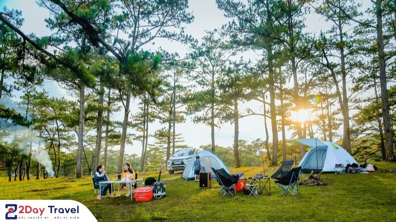 Cắm trại giữa rừng thông trên đồi Thiên Phúc Đức, Đà Lạt