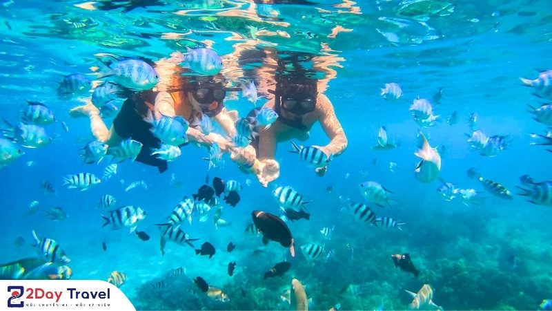 Hòn Mun Nha Trang, với làn nước trong như ngọc và hệ sinh thái san hô rực rỡ – cực kỳ phù hợp cho hoạt động lặn ngắm.