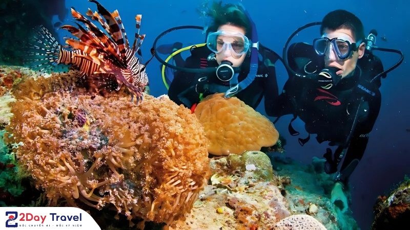 Lặn biển ngắm san hô rực rỡ tại Hòn Mun Nha Trang