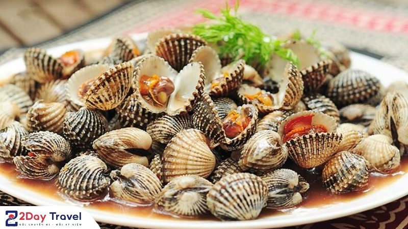 Sò huyết Cam Ranh tươi ngon hấp dẫn