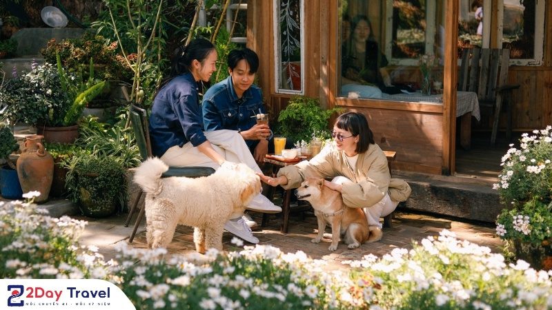 Check-in tại tiệm cà phê Túi Mơ To Đà Lạt – không gian chill giữa thiên nhiên cùng cún cưng dễ thương