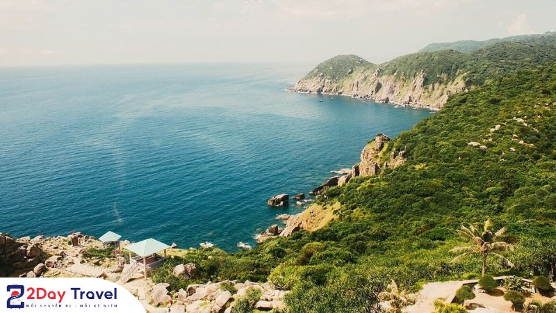 Nên đi du lịch Quy Nhơn hay Phú Yên? So sánh cực chi tiết!