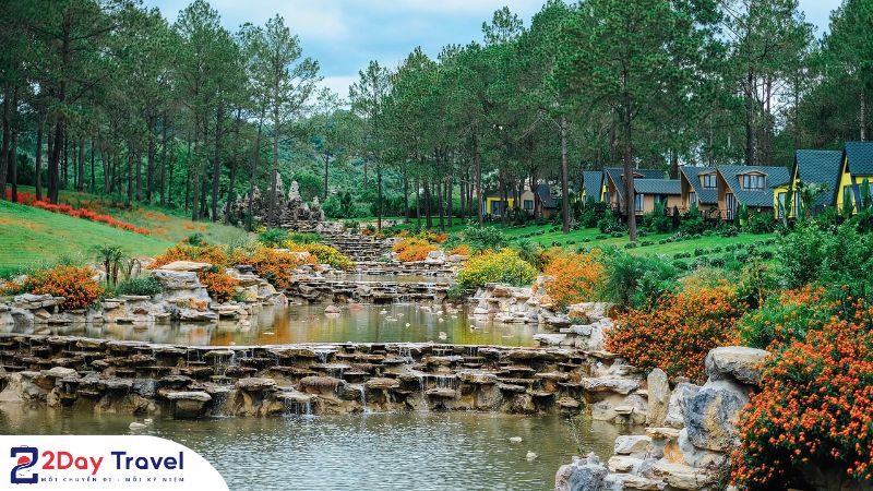 Rừng thông xanh rì ven hồ tự nhiên