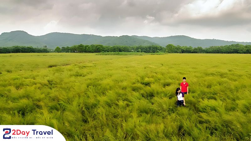 Khám phá những câu chuyện quanh cánh đồng Mường Thanh