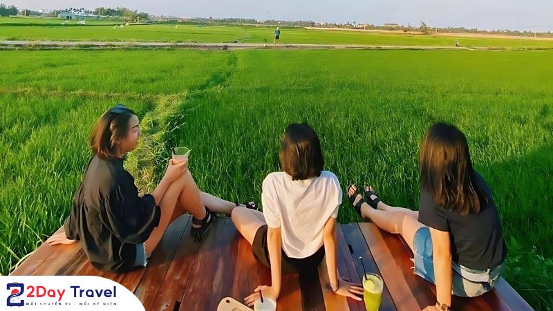 Tham quan Cánh đồng Mường Thanh