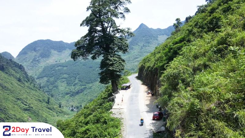 Vị trí của Cây Cô Đơn Hà Giang