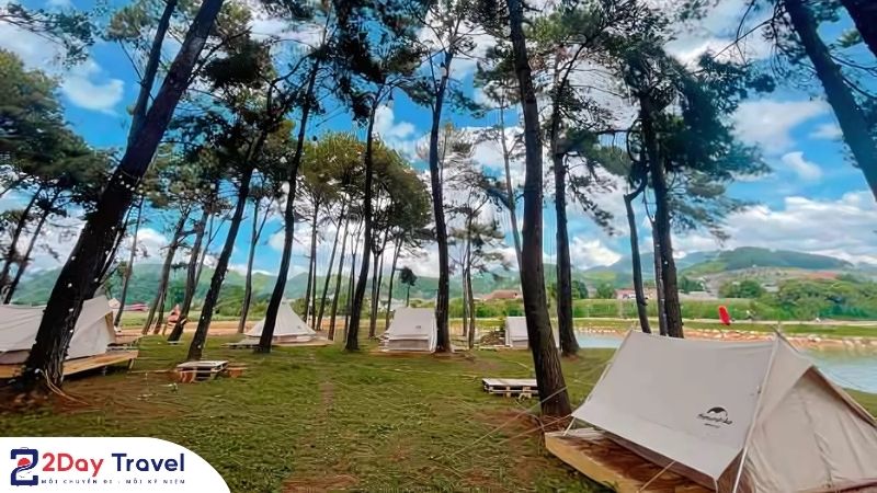 Cắm trại tại rừng thông Bản Áng